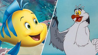 bild aus der news Realverfilmung von Disneys "Arielle": Das sind die "Darsteller" für Fabius und Scuttle