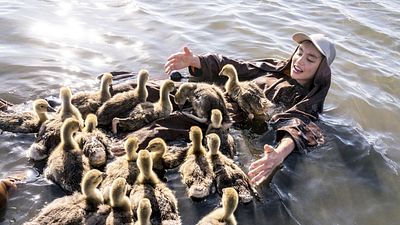 bild aus der news Deutscher Trailer zu "Der Junge und die Wildgänse": Der echte Nils Holgersson