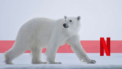 bild aus der news Das sind die erfolgreichsten Netflix-Dokus 2019 in Deutschland: Kriminalfälle auf dem Vormarsch!
