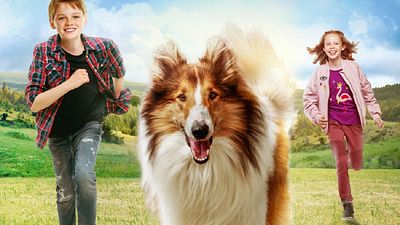 bild aus der news "Lassie – Eine abenteuerliche Reise": Trailer zum großen Kult-Comeback im Kino