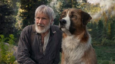 "Ruf der Wildnis": Das ist die FSK-Altersfreigabe zum Abenteuerfilm mit Harrison Ford