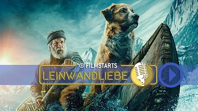 bild aus der news Wie schlimm ist der CGI-Hund in "Ruf der Wildnis" wirklich? Das und mehr im FILMSTARTS-Podcast