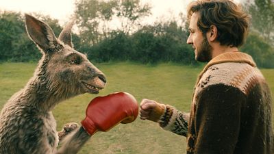 bild aus der news Das sind "Die Känguru-Chroniken": Das Kult-Phänomen erklärt