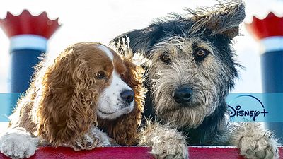 bild aus der news "Susi und Strolch": Das neue Ende der Realverfilmung auf Disney+ erklärt