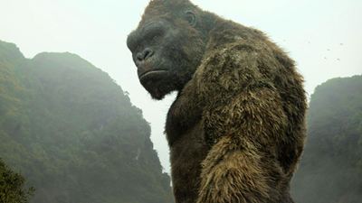 "Godzilla Vs. Kong": So sieht der alte, bärtige (!) King Kong aus