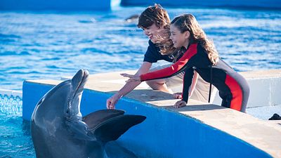 bild aus der news Das Abenteuer geht weiter: Deutscher Trailer zu "Bernie, der Delfin 2" – natürlich wieder mit "Hercules" Kevin Sorbo