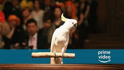 bild aus der news Neu auf Amazon Prime Video: Die beste Videospielverfilmung aller Zeiten!