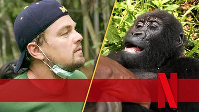 bild aus der news Leonardo DiCaprio hilft: Nach "Tiger King" wird der nächste Netflix-Doku-Hit zum Spielfilm