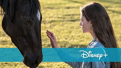 bild aus der news Kult-Remake mit Kate Winslet: Nächste Hollywood-Produktion landet direkt bei Disney+