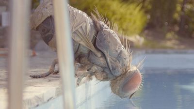 bild aus der news Der deutsche Trailer zum wohl abgefahrensten Film des Jahres: Zwei Kumpels zähmen eine gigantische Fliege!