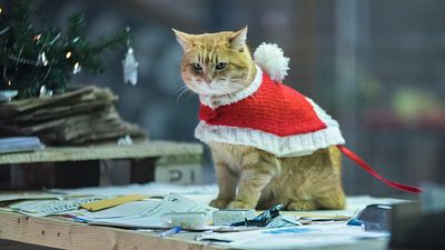 bild aus der news Deutscher Trailer zu "Ein Geschenk von Bob": Der Kater kommt zurück ins Kino