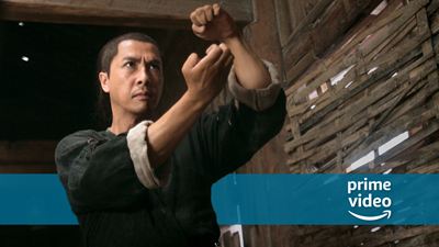 Neu bei Amazon Prime Video: Action-Doppelpack für Fans von "Ip Man" & Co.