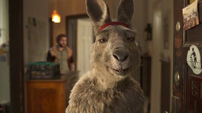 bild aus der news "Die Känguru-Chroniken 2" kommt! "Die Känguru-Verschwörung" in Arbeit – mit besonderen Überraschungen