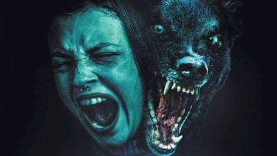 In 3 Tagen gibt's endlich mal wieder gnadenlosen Tier-Horror neu im Heimkino: Deutscher Trailer zu "Growl"