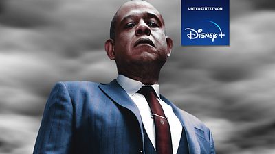 bild aus der news Eine der besten US-Serien jetzt auf Disney+: Ein Gangster-Drama nach einer epischen wahren Geschichte! [Anzeige]