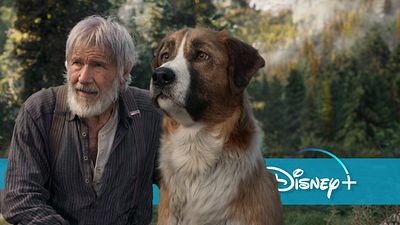 bild aus der news Vampir-Kult und viele Kinofilme neu auf Disney+