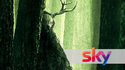 bild aus der news Nach "Wonder Woman 1984": Zwei weitere Kinofilme landen direkt bei Sky – einer davon schon in 2 Tagen!