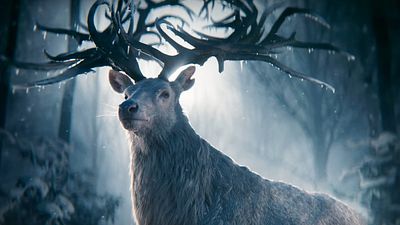 bild aus der news Direkt der nächste Fantasy-Kult-Hit für "Shadow And Bone"-Star: Neue Rolle für Daisy Head