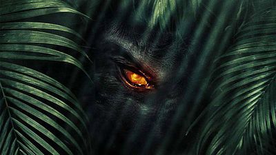 bild aus der news "The Jungle": Der deutsche Trailer verspricht einen spannenden Trip in den Horror-Urwald