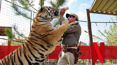 bild aus der news Diese Woche neu auf Netflix: "Tiger King" Staffel 2, die Neuauflage einer Sci-Fi-Kultserie & viele weitere Highlights
