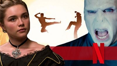 bild aus der news Diese Woche neu auf Netflix: Einer der besten Filme 2020, neue Folgen von "Cobra Kai" & die volle Ladung "Harry Potter"