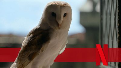 bild aus der news Die Eule in "The Witcher" ist wichtiger als ihr denkt – vor allem für Staffel 3 auf Netflix