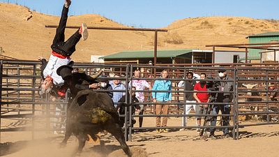 bild aus der news Deutscher Trailer zu "Jackass Forever": Johnny Knoxville und Co. kehren mit lebensmüden & völlig verrückten Mutproben zurück