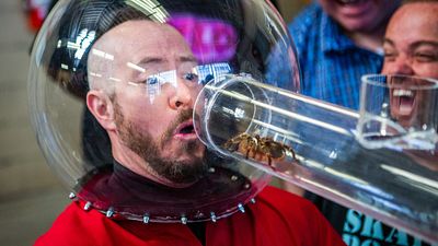 bild aus der news Kommt "Jackass 5"? Johnny Knoxville hat bereits eine heftige Idee, die er endlich umsetzen möchte