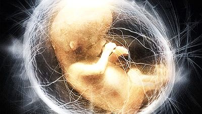 bild aus der news Heimkino-Tipp: Einer der besten Sci-Fi-Filme der letzten 20 Jahre bekommt endlich die Neuauflage, die er verdient