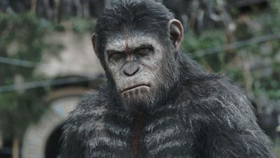"Planet der Affen 4": Titel und erstes Bild enthüllt – "The Witcher"-Star spielt Hauptrolle