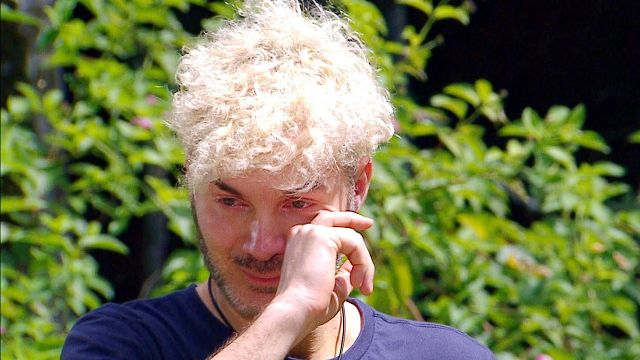 bild aus der news Dschungelcamp-Überraschung an Tag 12: Sam Dylan muss das Camp verlassen