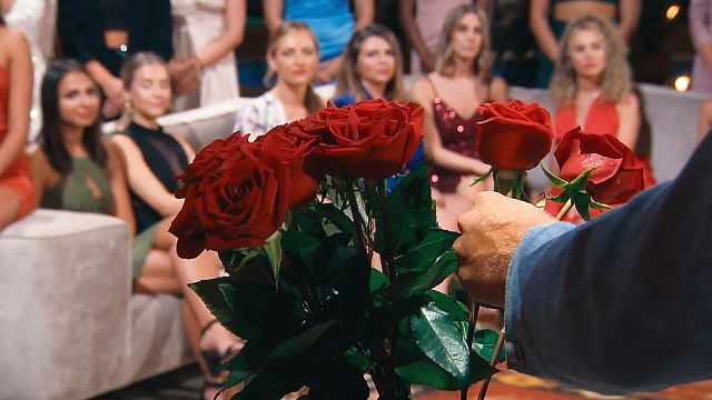 bild aus der news Frühzeitiger "Die Bachelors"-Abbruch macht mich skeptisch: Warum dieser RTL-Skandal alles andere als echt wirkt!