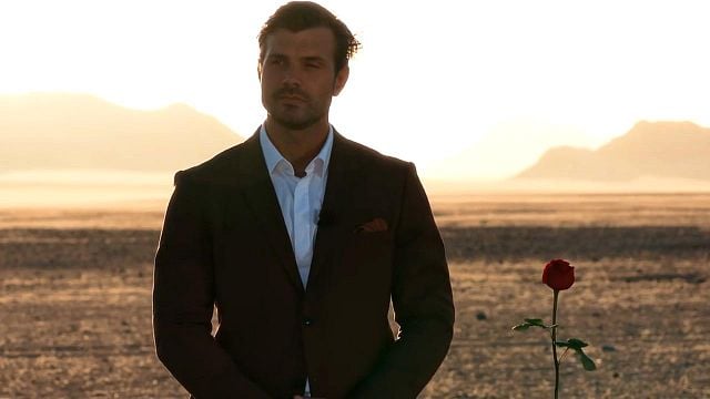 bild aus der news Finale bei "Die Bachelors": Diese Kandidatin bekommt Tims letzte Rose