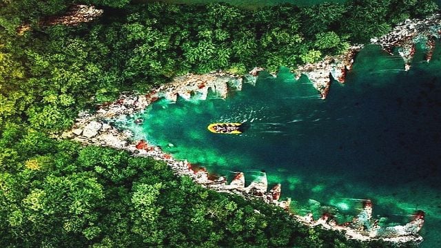 bild aus der news Heute erstmals im TV: "Matrix"- & "Sopranos"-Kultstar im 6. (!) Teil einer blutig-brutalen Tierhorror-Reihe