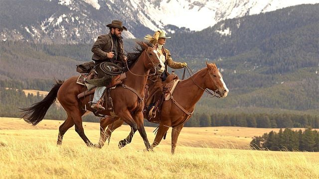 bild aus der news "Holt mich hier raus!": "Dutton Ranch"-Star packt über Unzufriedenheit am Set der "Yellowstone"-Fortsetzung aus