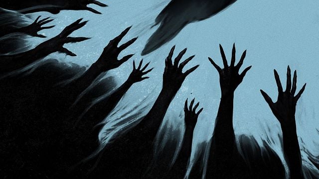 bild aus der news So einen Horrorfilm habt ihr noch nie gesehen – die Top-Wertungen sprechen für sich! Erster Trailer zu "Good Boy"