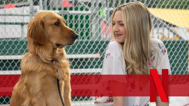 bild aus der news Neu auf Netflix: In dieser Bestseller-Verfilmung spielt Kevin Costner einen Hund, der unbedingt ein Rennfahrer sein möchte