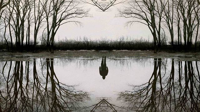 bild aus der news Trotz herausragender Bewertungen: Diese Stephen-King-Adaption ist schon fünf Jahre später in Vergessenheit geraten!