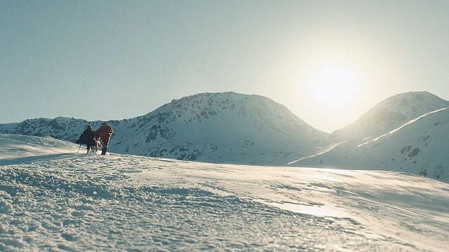 bild aus der news Schnee und Eis bald auch im Kino: Der Trailer zu "Mein Freund Barry" mit einem "Tatort"-Star!