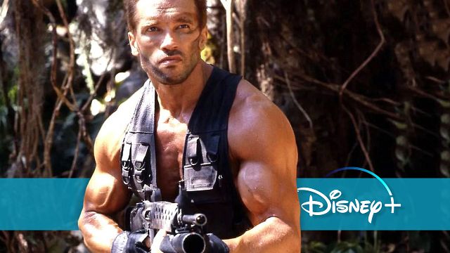 bild aus der news Das Ende von "Predator: Killer Of Killers" erklärt: Kommt es zum Wiedersehen mit Arnold Schwarzenegger?