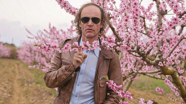 bild aus der news Absurde TV-Premiere: Ist dieser "LOL"-Star wirklich der Sohn eines der größten Rockmusiker aller Zeiten?