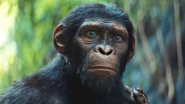 Trotz 129 Millionen Dollar am ersten Wochenende: Sci-Fi-Blockbuster "Planet der Affen: New Kingdom" in Deutschland nur Nr. 2