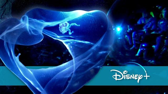 Nach "Avatar 2" müsst ihr diesen viel zu unbekannten Unterwasser-Film von James Cameron sehen: Auf Disney+ könnt ihr ihn streamen