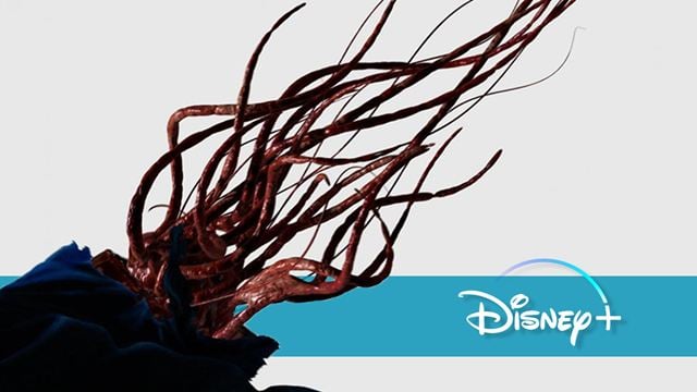 Ausgerechnet auf Disney+ könnt ihr ab heute das brutal-durchgeknallte neue Werk eines Horror-Genies streamen