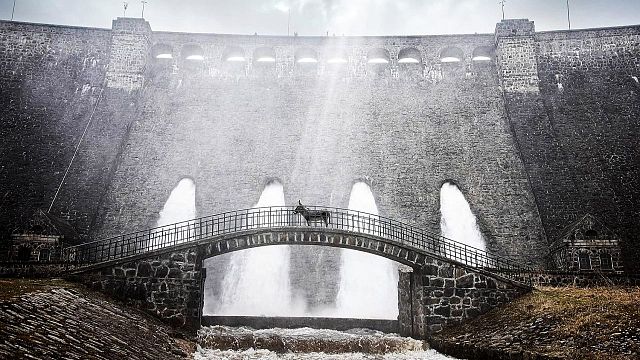 bild aus der news TV-Premiere ohne Werbung: Der Titelheld dieses so ungewöhnlichen wie charmanten Oscar-Kandidaten wird euch zu Tränen rühren