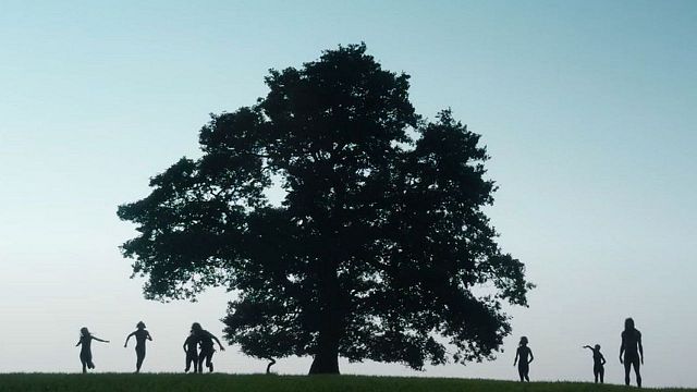 bild aus der news Nach "28 Years Later": Meisterregisseur Danny Boyle hat seinen nächsten Film gefunden