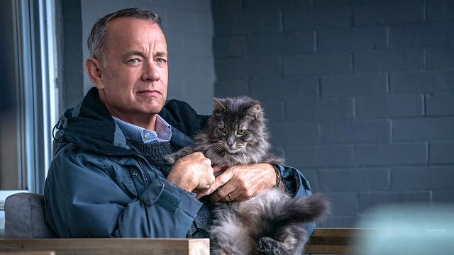 bild aus der news Kaum zu glauben! Hollywood-Liebling Tom Hanks hasst einige seiner Filme