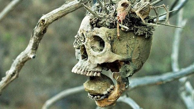 bild aus der news Brutal, verstörend & richtig fies: Grandioser Horror-Western mit FSK 18 neu im Streaming-Abo – ungekürzt!