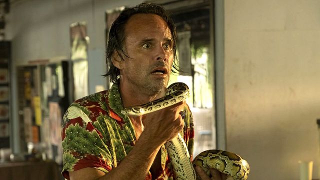 bild aus der news Eine der besten Serien unserer Zeit geht in die 4. Runde – und ein "Vikings"-Star spielt mit!