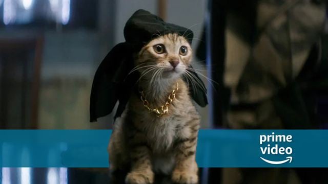 Neu auf Amazon Prime Video: In dieser Action-Komödie vom "Get Out"-Macher wird ein Dauerkiffer für seine Katze zum Gangster!